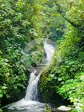 Monteverde national park Stock Photo