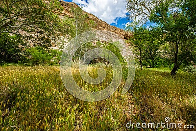 Montezuma Castle dwelling Stock Photo