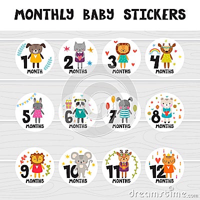Monthly baby stickers for little girls and boys. Vector Illustration