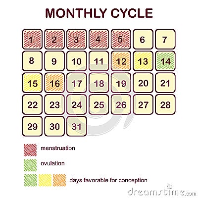 The monthly cycle of a woman. Menstruation and ovulation. Planning pregnancy and family. Days favorable for conception. Vector Illustration