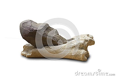 Specialized primitive lithic tool used for fat removal from bones Stock Photo