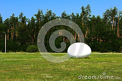 Monument Egg of Life near the entrance to the Chernobyl zone. Editorial Stock Photo