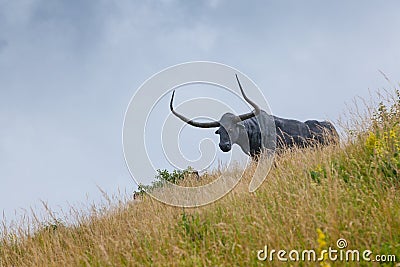 Monument to the bull Stock Photo