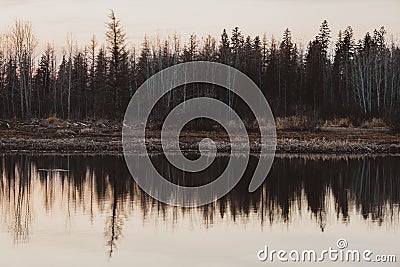 moody and calm reflection Stock Photo