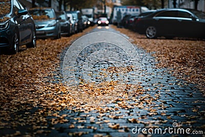 Moody day in the city. Orange, yellow leaves on the cars during a autumn period. Prague city in a Europe. Fall background with veh Stock Photo