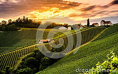 Moody landscape of south Styrian grape hills Stock Photo