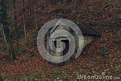 Moody misty autumn forest nature scenic view with ancient unknown stone crypt architecture object Halloween time concept Stock Photo