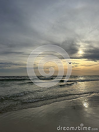 Moody sunset with seagull silhouette over Gulf of Mexico Stock Photo