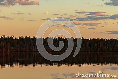 Moon above the dark night forest near the lake. Mystical fantastic fabulous image Stock Photo