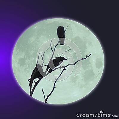 Silhouette of crows sitting in a tree lit by a full blue moon in a illustration created purple sky Cartoon Illustration