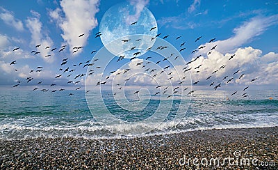 Moon collage of green glowing sunny waves of Black Sea with reflections of blue cloudy sky Stock Photo