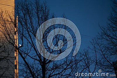Moon in the evening against a clear sky Stock Photo