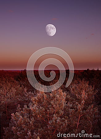 Moon On The Horizon Stock Photo
