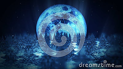 Moon night scene, Winter Forest illustration, Abstract nature background, Loop landscape animation, royalty free illustration Moon night scene, Winter Forest illustration, Abstract nature background, Loop landscape animation, royalty free illustration