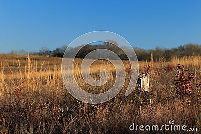 Moon over field Stock Photo