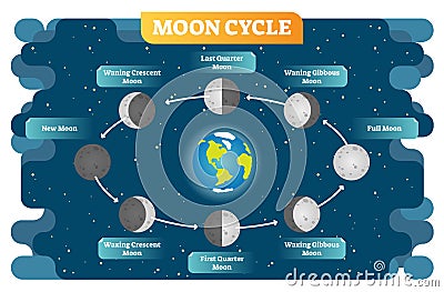 Moon phase cycle vector illustration diagram poster Vector Illustration