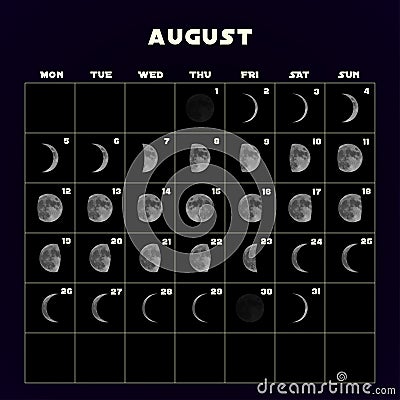 Moon phases calendar for 2019 with realistic moon. August. Vector. Vector Illustration