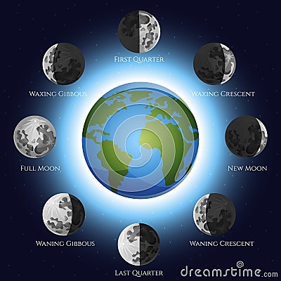 Moon Phases Illustration Vector Illustration