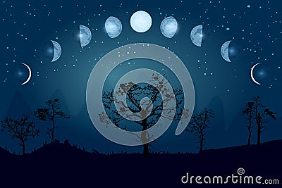 Moon phases. Whole cycle from new moon to full. Vector Illustration