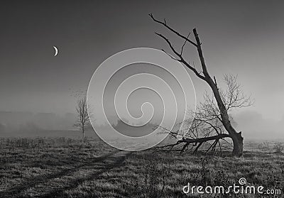 Moon prayer Stock Photo