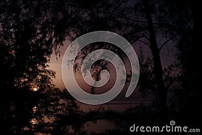 Moon rise at tropical lakeside among trees Stock Photo