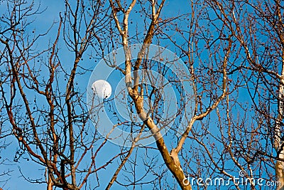 Moon Rising in Late Afternoon Stock Photo