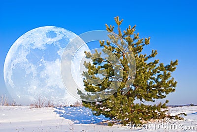 Moon rising in a winter plain Stock Photo