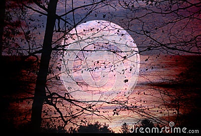 Moon Set, Sun Rise Stock Photo