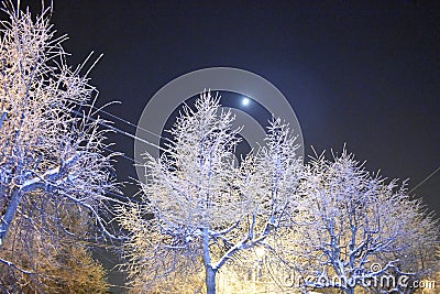 The moon in the sky. Street lamp. Night city skyline. Severe frost. Beauty of nature Stock Photo