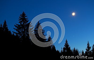 Moon and star sky over forest silhouette at night Stock Photo