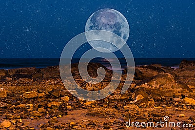 Moon Struck Stock Photo