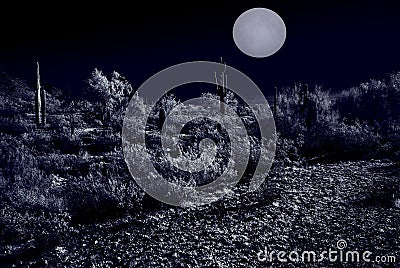 Moonlight Desert Stock Photo