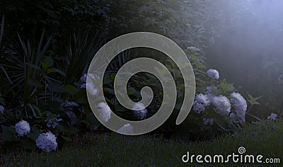 Moonlight on the Garden Stock Photo