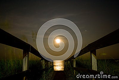 Moonlight Landscape Stock Photo