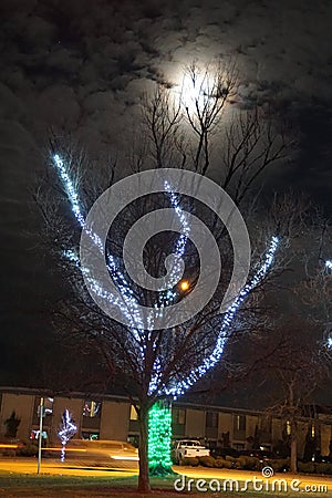 Moonlight Meets Christmas Lights: City of Richland Holiday Decor Editorial Stock Photo