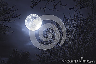 Moonlight, moon on a dark night behind trees Stock Photo