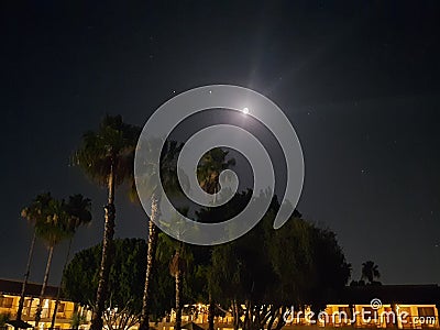 Moonlight vibes Stock Photo