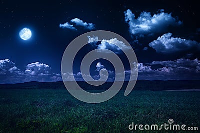 Moonlit night on nature Stock Photo