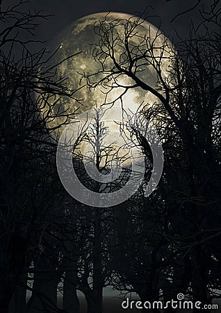 Moonlit sky with spooky trees Stock Photo