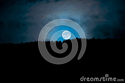 Moonrise above the trees, Camarda, Abruzzo, Italy Stock Photo