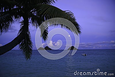 Moonrise in Hawaii Stock Photo