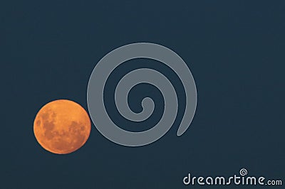 Moonrise at Mtunzini Stock Photo