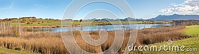 Moor lake riegsee with reed grass, wide bavarian landscape in autumn Stock Photo