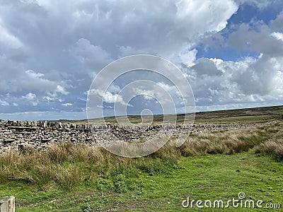 Moorland, with long grasses. next to a dry stone wall near, Cowling, Keighley, UK Stock Photo