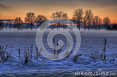 Moors in winter Stock Photo