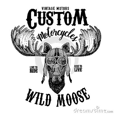 Moose, elk Biker, motorcycle animal. Hand drawn image for tattoo, emblem, badge, logo, patch, t-shirt Vector Illustration