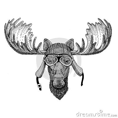 Moose, elk Wild animal wearing biker motorcycle aviator fly club helmet Illustration for tattoo, emblem, badge, logo Stock Photo