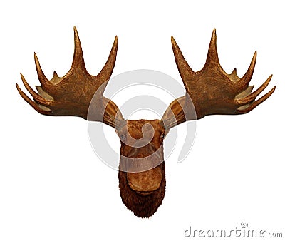 Moose head antler Stock Photo