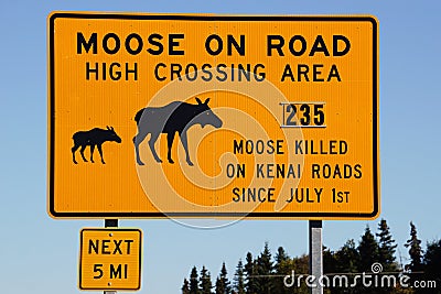 Moose on road yellow warning road sign Stock Photo