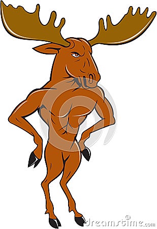 Moose Standing Hands Akimbo Cartoon Vector Illustration